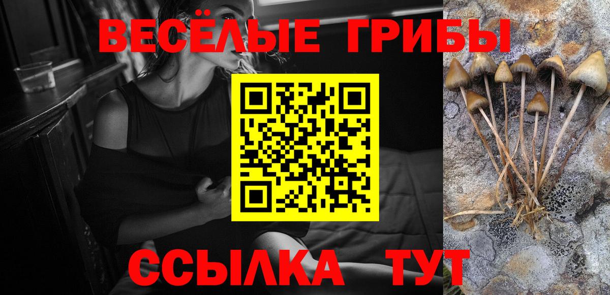 Галлюциногенные грибы Psilocybine cubensis  Вход с VPN  Новозыбков 